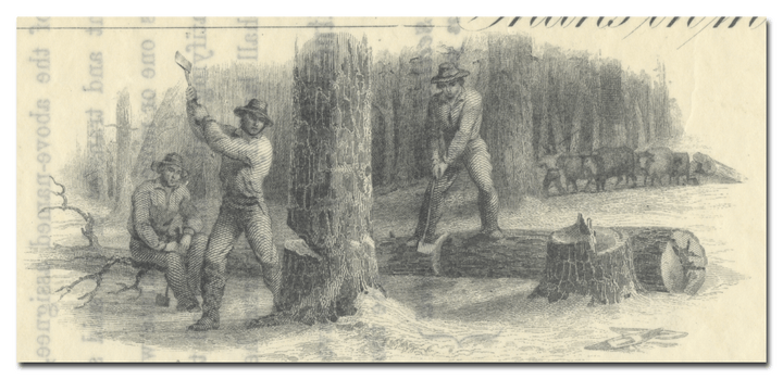 Susquehanna & Clearfield Railroad Company Stock Certificate