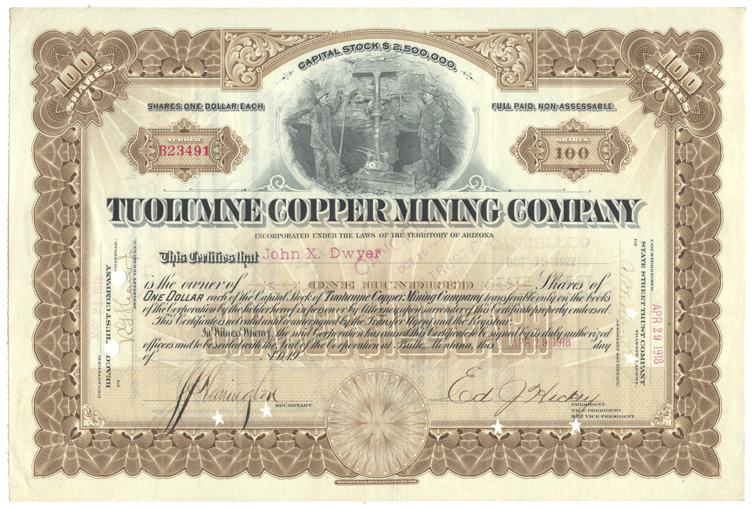 Tuolumne Copper Mining Company Stock Certificate