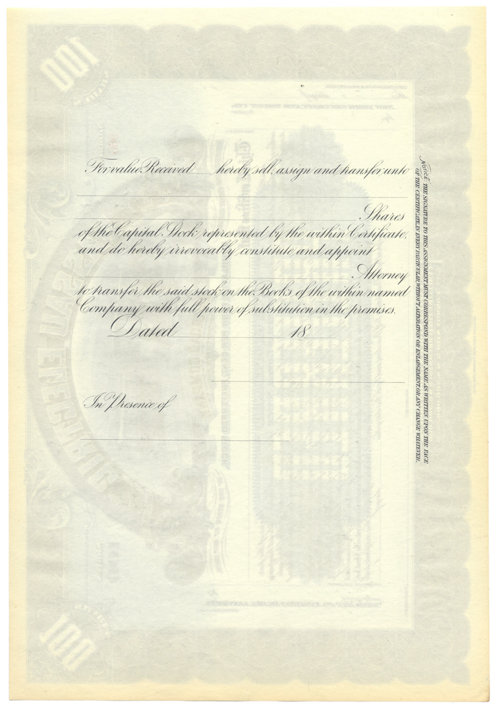 Nassau Electric Railroad Company Stock Certificate