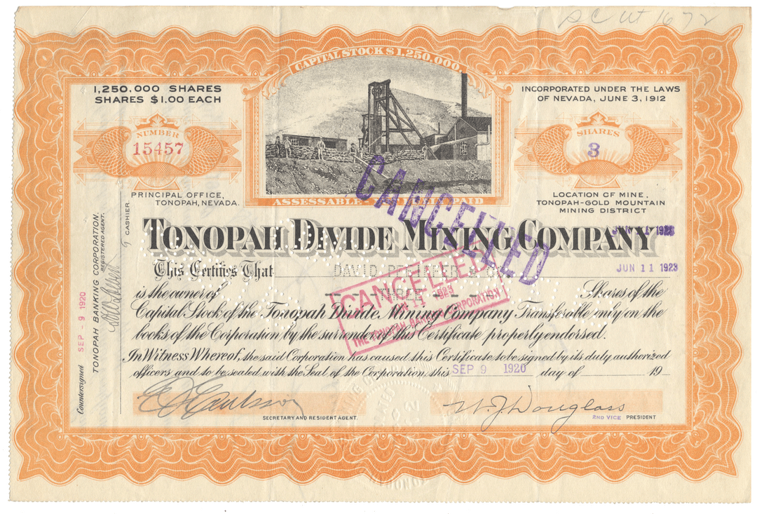 Goldfield Consolidated Mines Company Stock Certificate