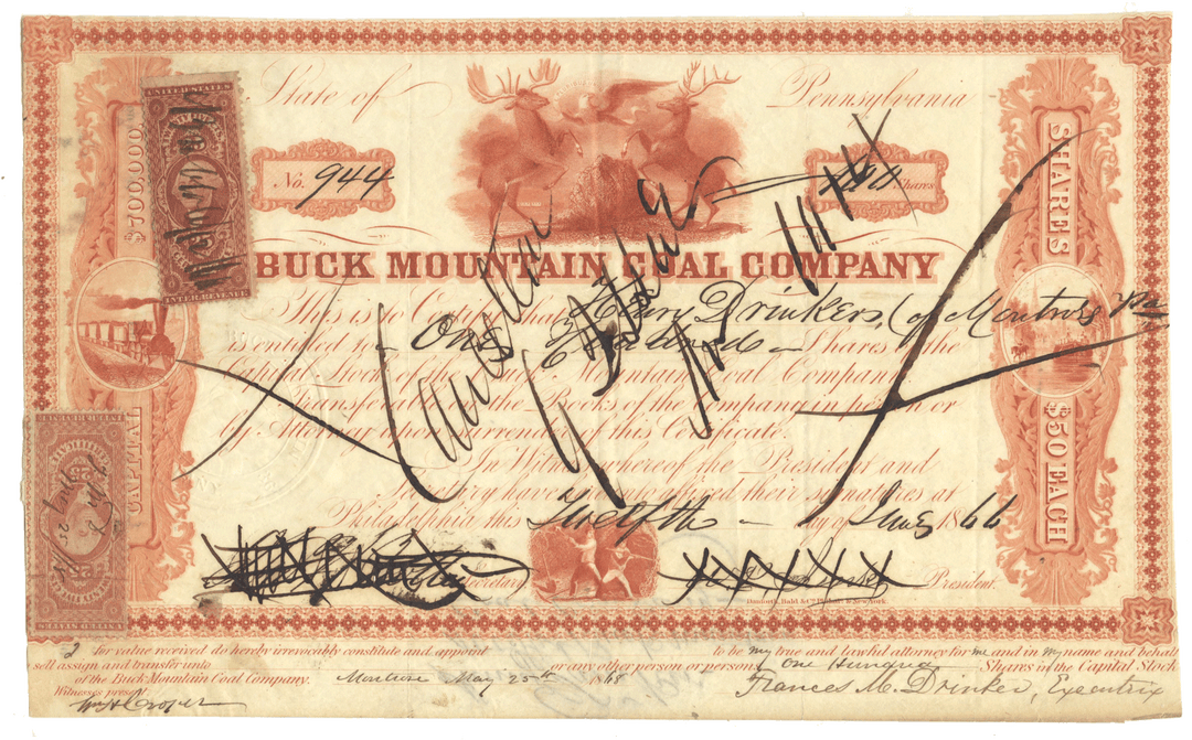 Buck Mountain Coal Company Stock Certificate