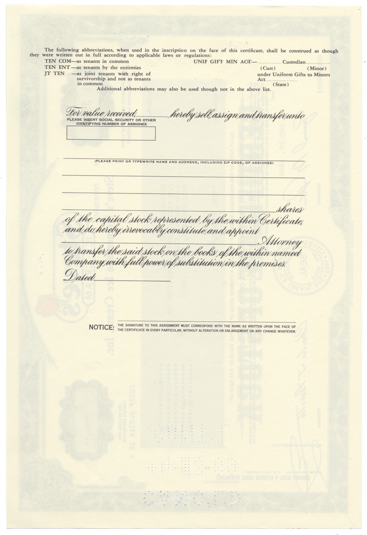 Steve's Homemade Ice Cream, Inc. Stock Certificate