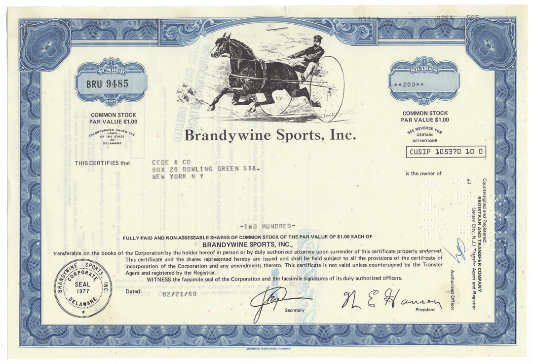 Brandywine Sports, Inc. Stock Certificate