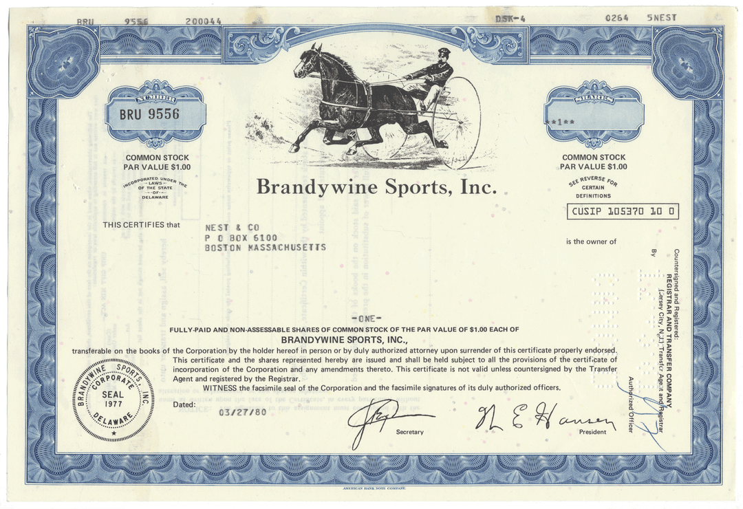 Brandywine Sports Inc Stock Certificate