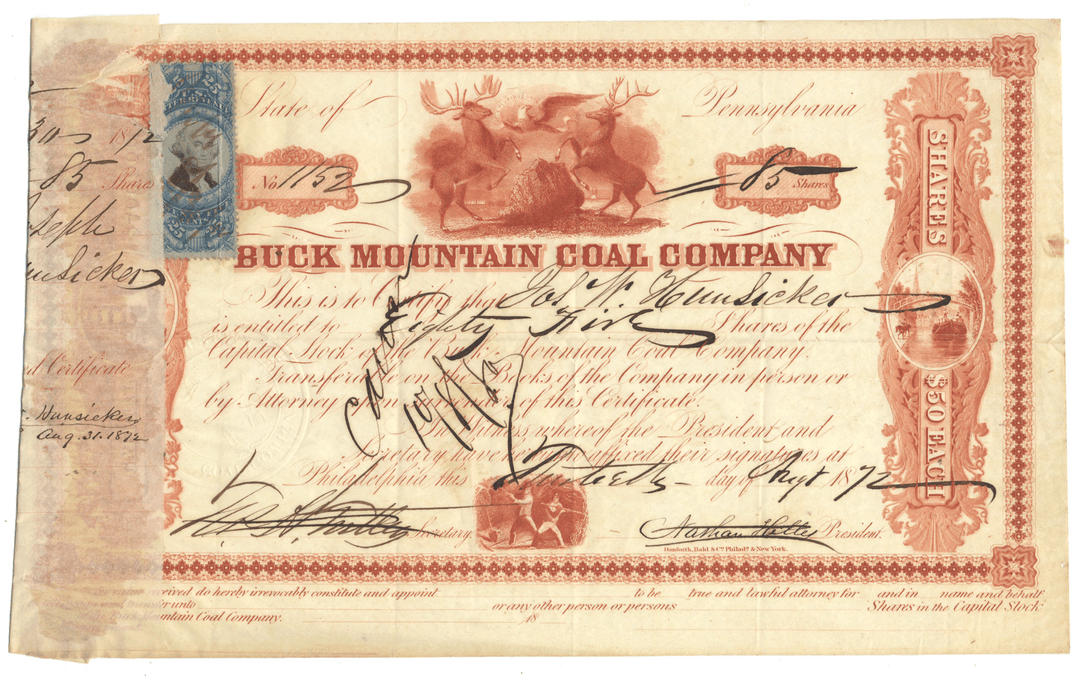 Buck Mountain Coal Company Stock Certificate