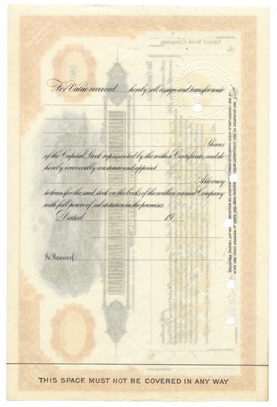 Buffalo & Susquehanna Railroad Corporation Stock Certificate