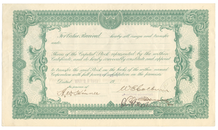 Silver King Divide Mining Company Stock Certificate