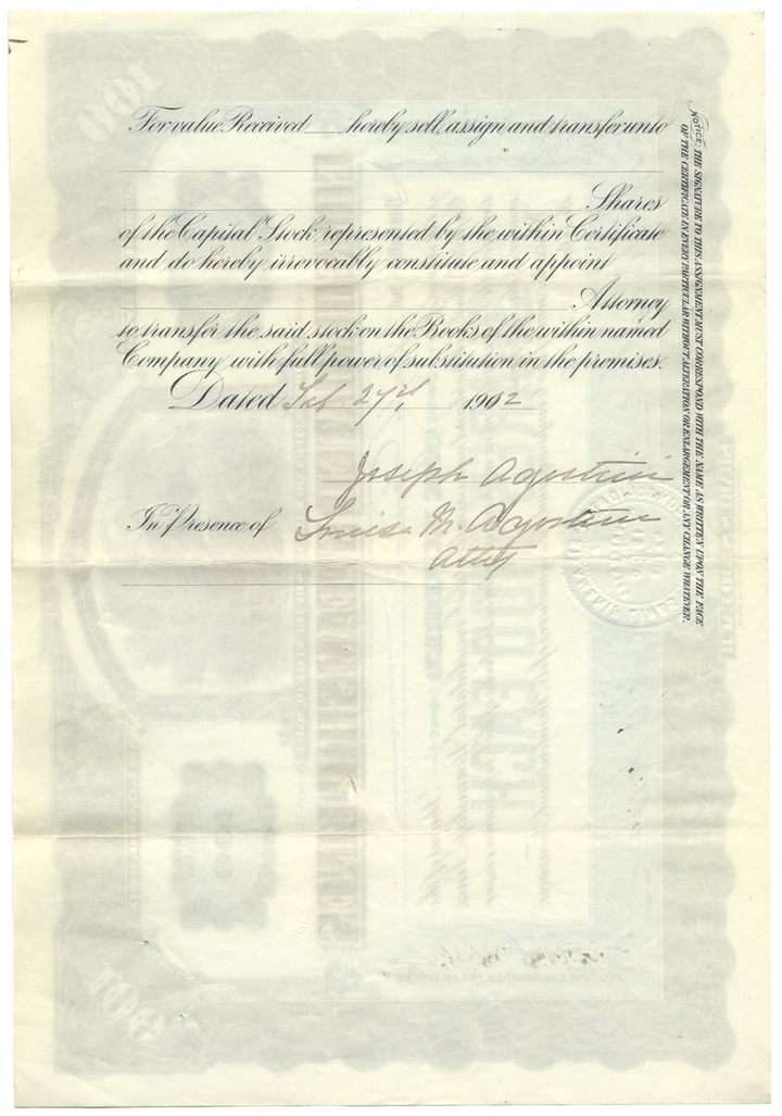 Consolidated Steamship Lines Stock Certificate