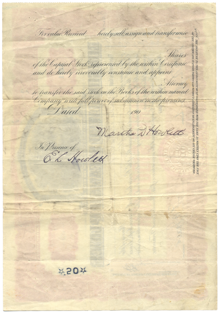 Consolidated Steamship Lines Stock Certificate