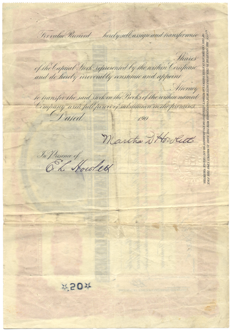 Consolidated Steamship Lines Stock Certificate
