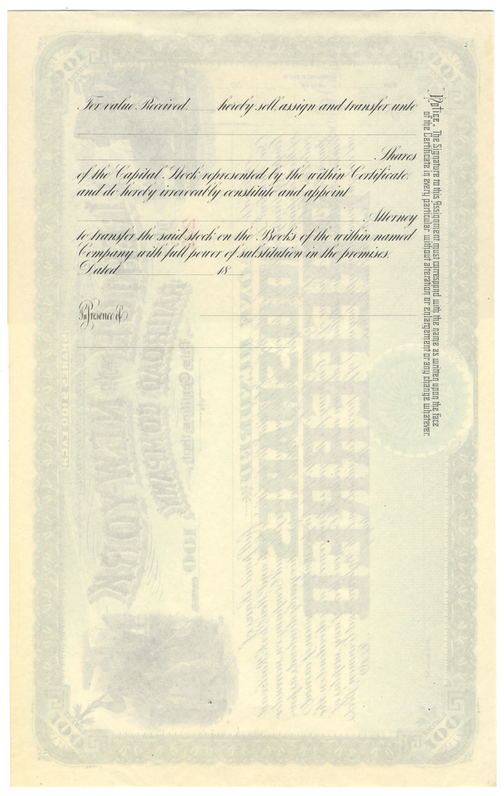 Lehigh and New York Railroad Company Stock Certificate