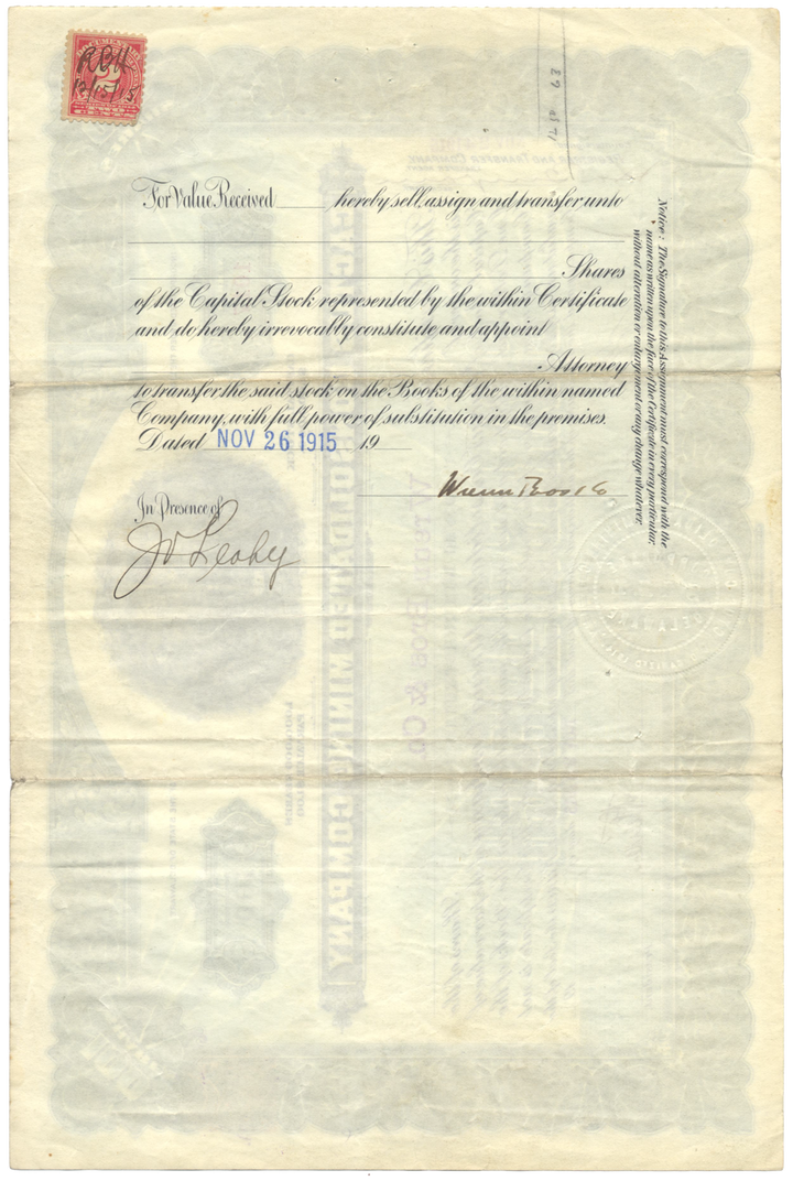 Cactus Consolidated Mining Company Stock Certificate