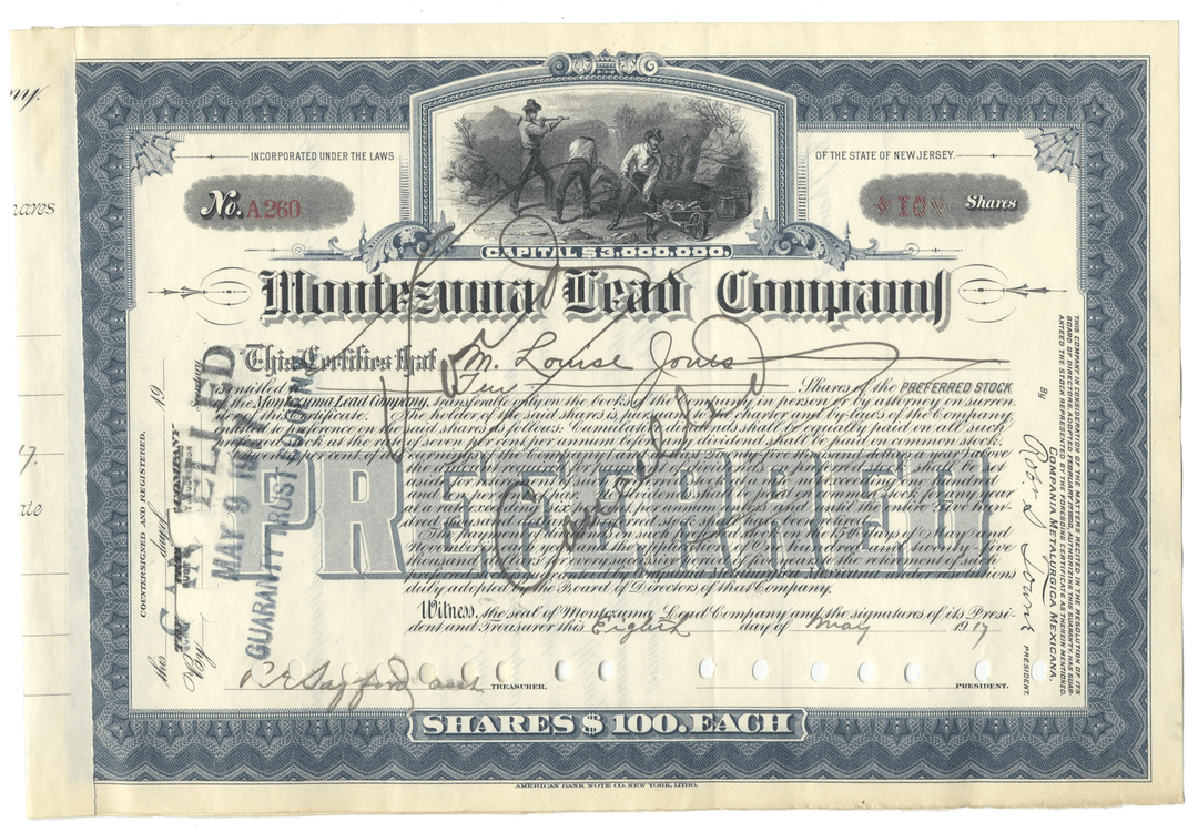 Vintage stock certificate for the Minersville Lead Company with decorative elements and text.