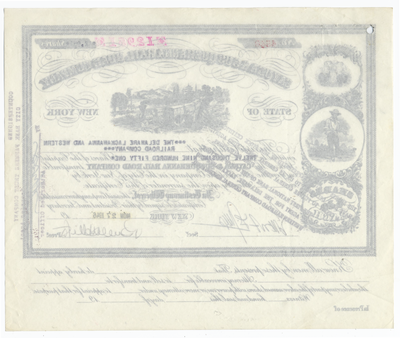 Cayuga & Susquehanna Rail Road Company Stock Certificate