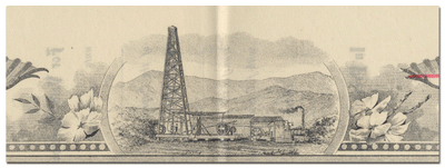 California Diamond Oil Company Stock Certificate