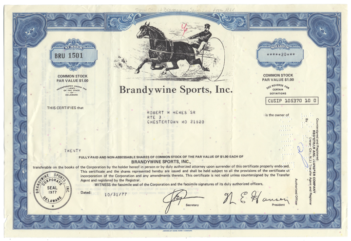 Brandywine Sports, Inc. Stock Certificate