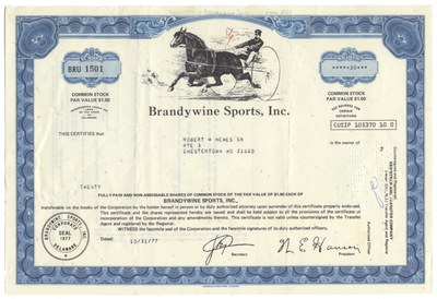 Brandywine Sports, Inc. Stock Certificate