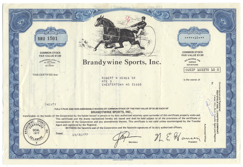 Brandywine Sports, Inc. Stock Certificate