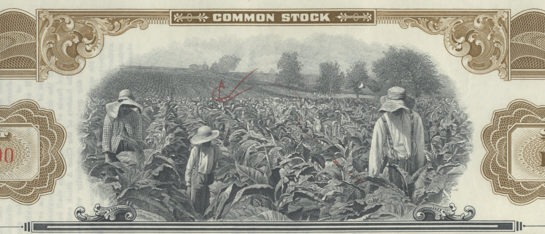 Tobacco Products Corporation Stock Certificate