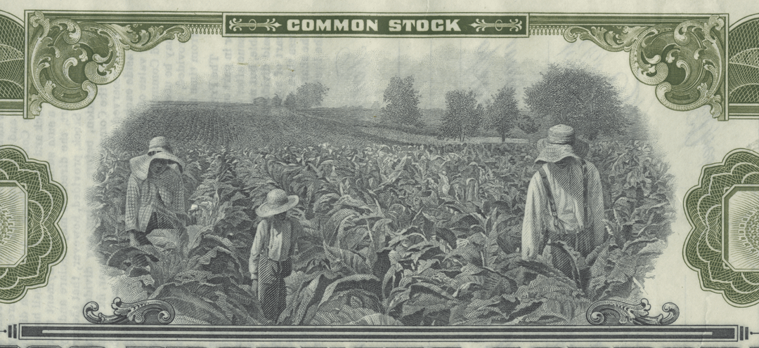 Tobacco Products Corporation Stock Certificate