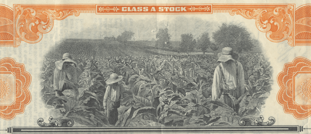 Tobacco Products Corporation Stock Certificate