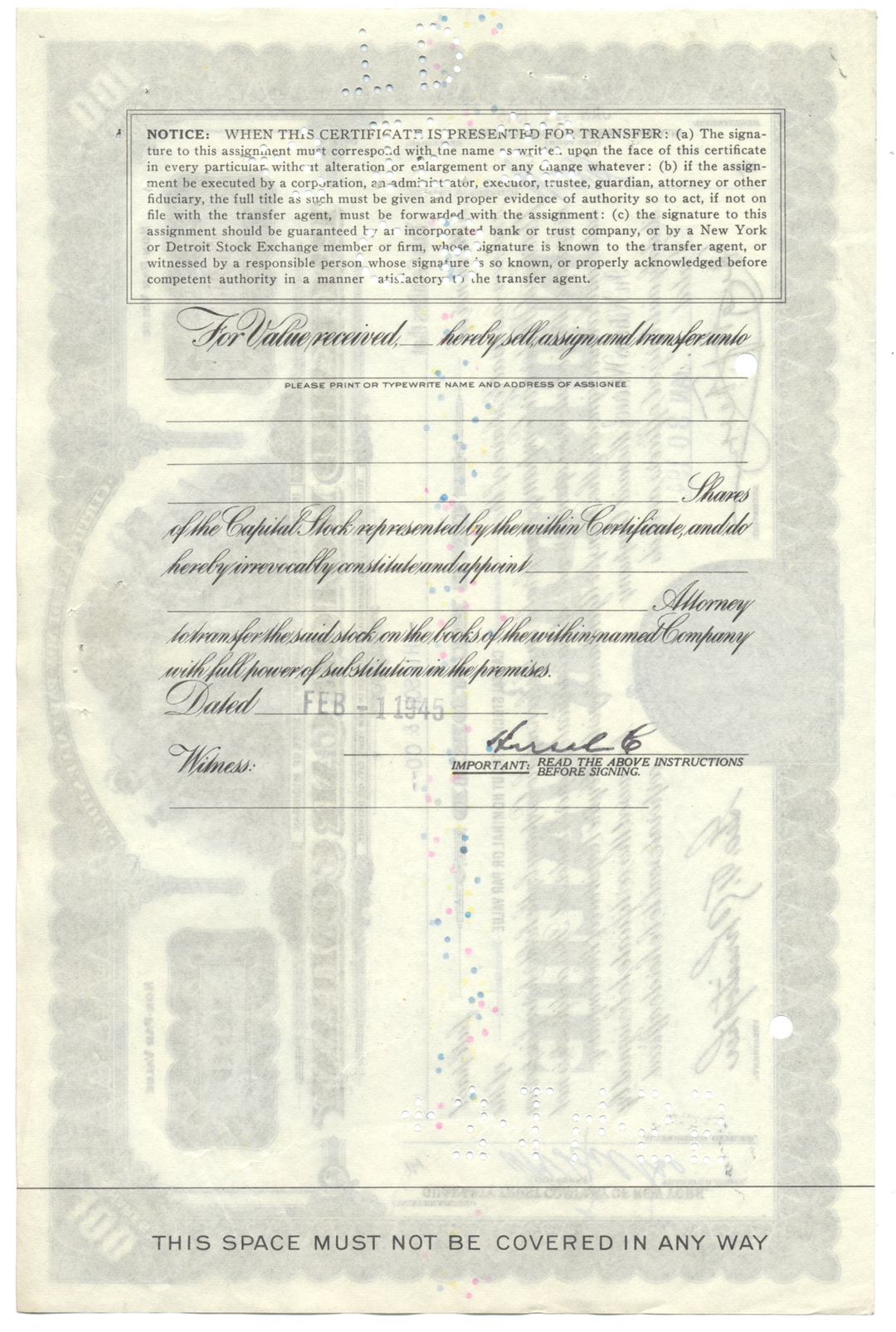 Packard Motor Car Company Stock Certificate