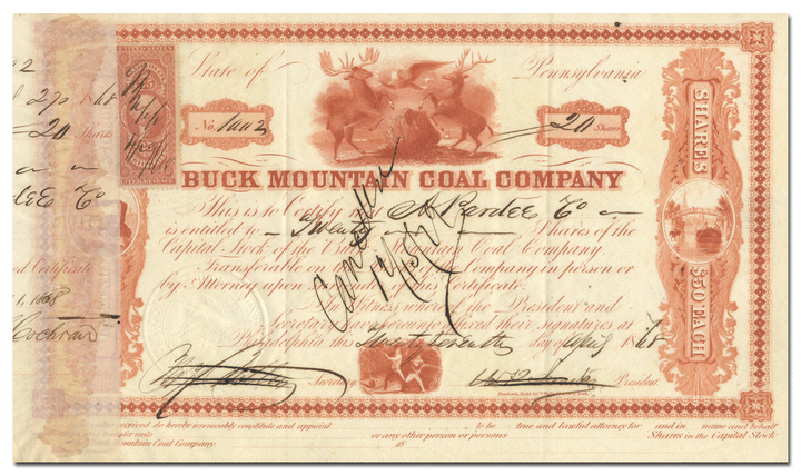 Buck Mountain Coal Company Stock Certificate