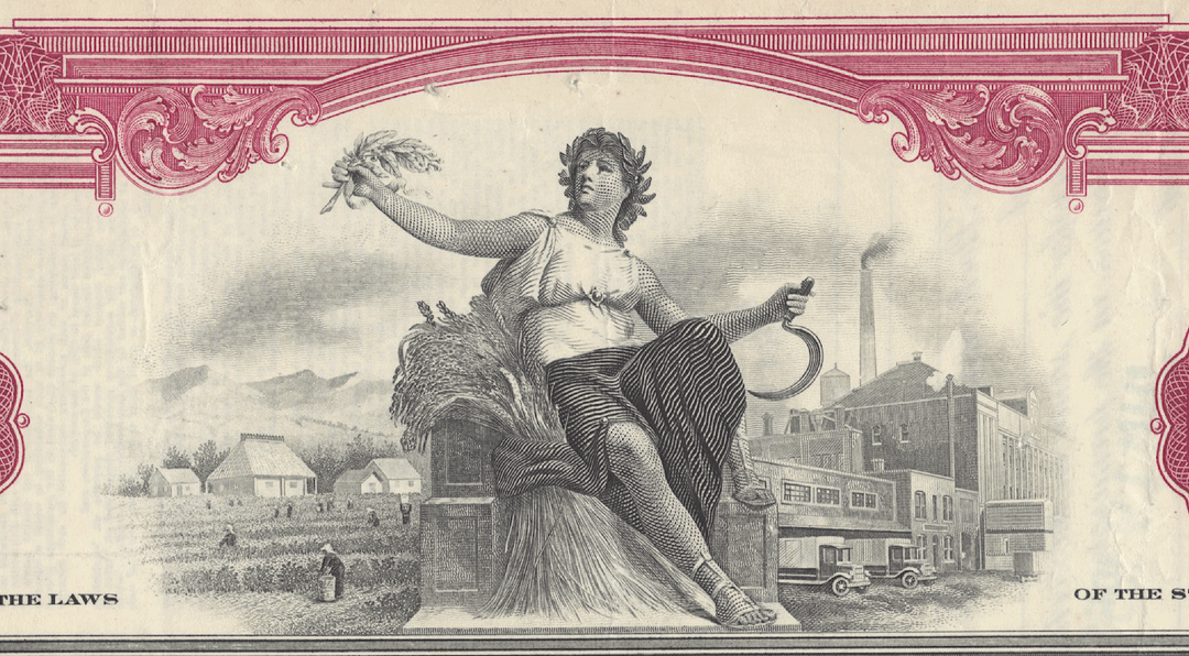 National Tea Co. Stock Certificate