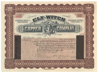 Ely-Witch Copper Company Stock Certificate