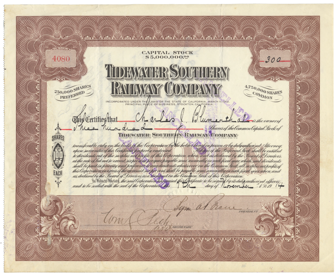 Tidewater Southern Railway Company Stock Certificate