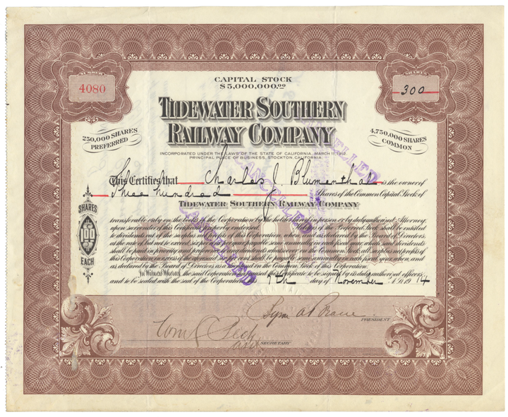 Tidewater Southern Railway Company Stock Certificate