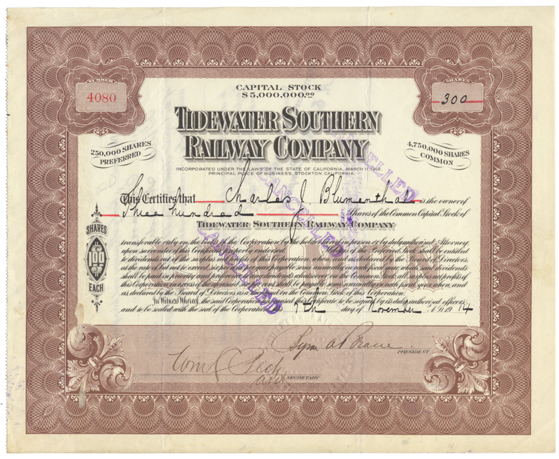 Tidewater Southern Railway Company Stock Certificate