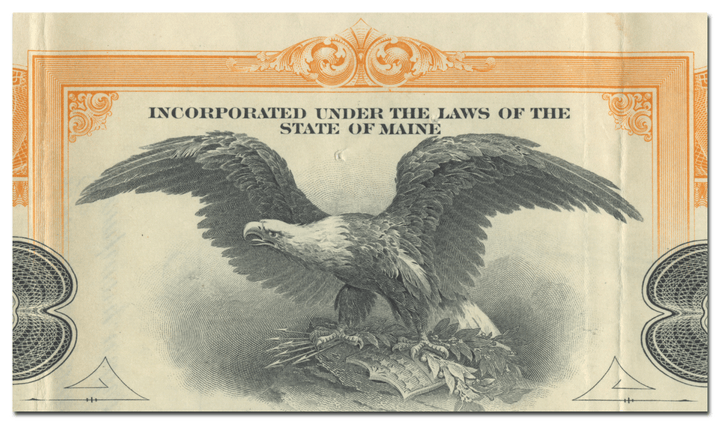 Alaska Gold Mines Company Stock Certificate