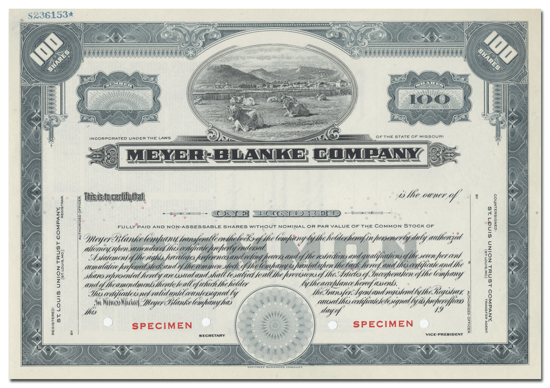 Meyer - Blanke Company Stock Certificate