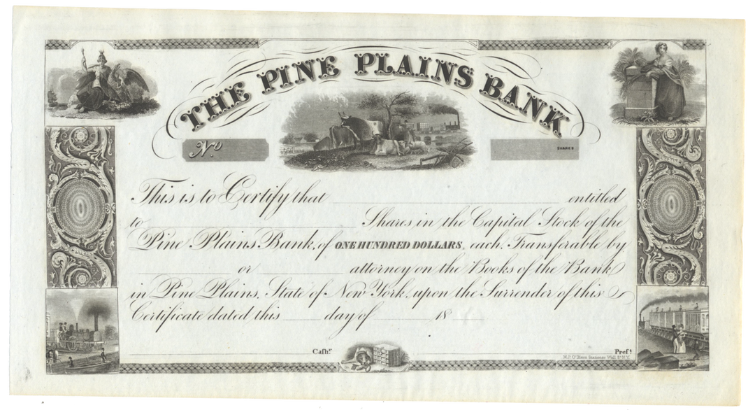 Pine Plains Bank Stock Certificate