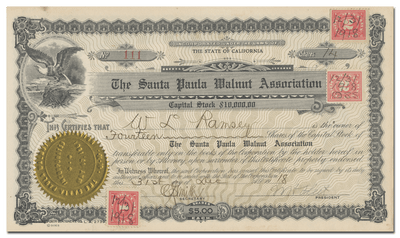 Santa Paula Walnut Association Stock Certificate