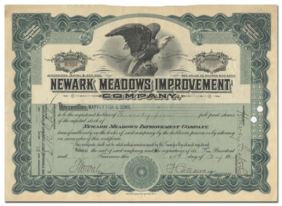 Newark Meadows Improvement Company Stock Certificate