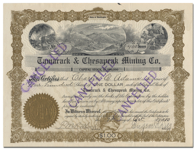 Tamarack & Chesapeak Mining Company Stock Certificate