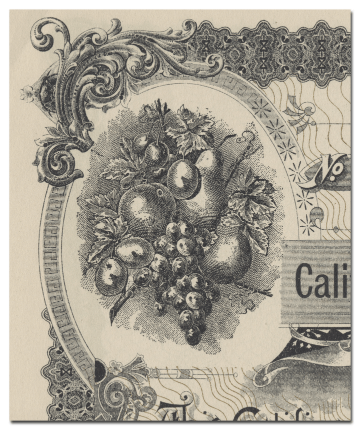 California Condensed Fruit & Vegetable Company Stock Certificate