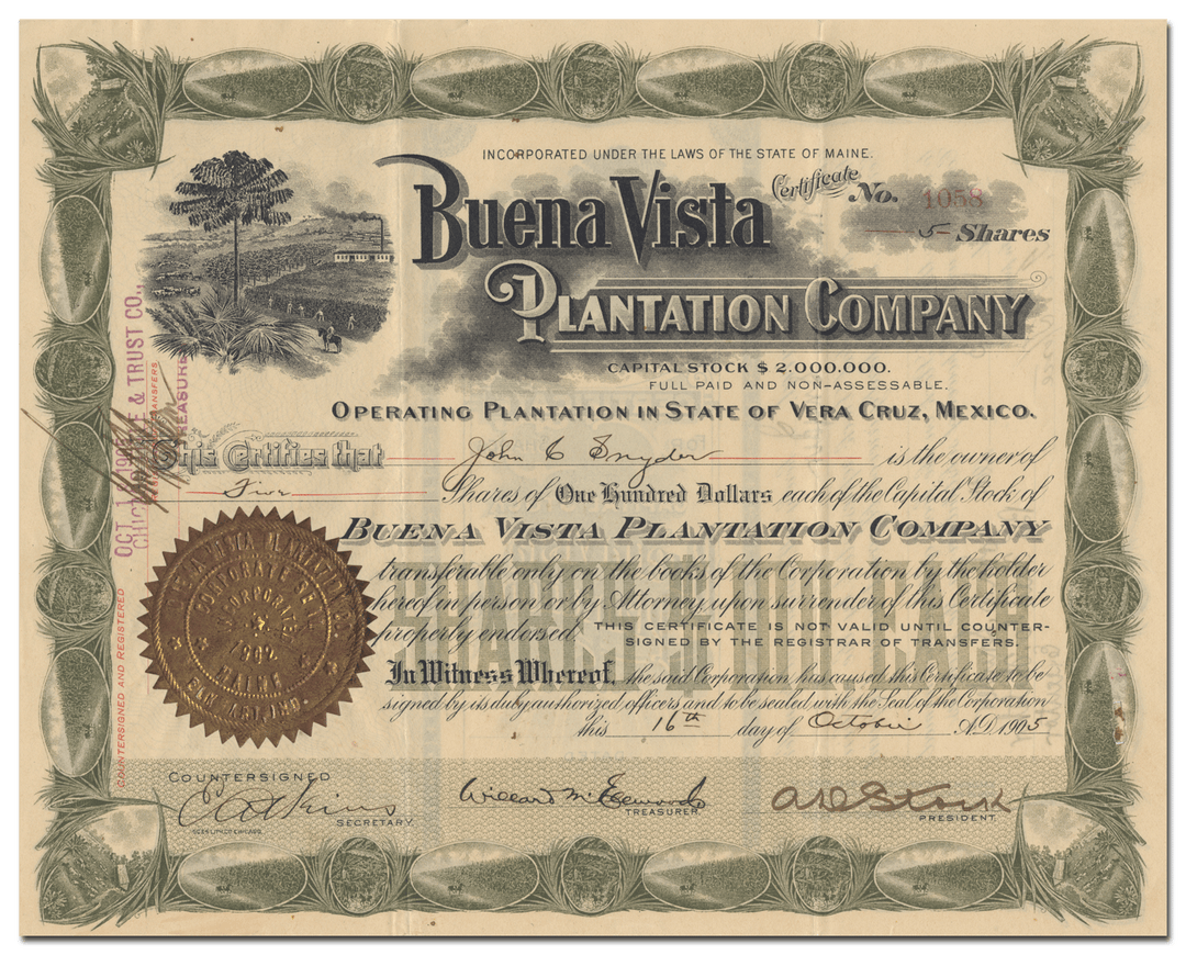 Buena Vista Plantation Company Stock Certificate