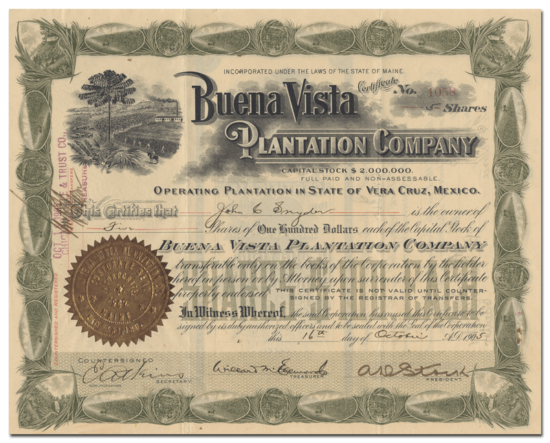 Buena Vista Plantation Company Stock Certificate