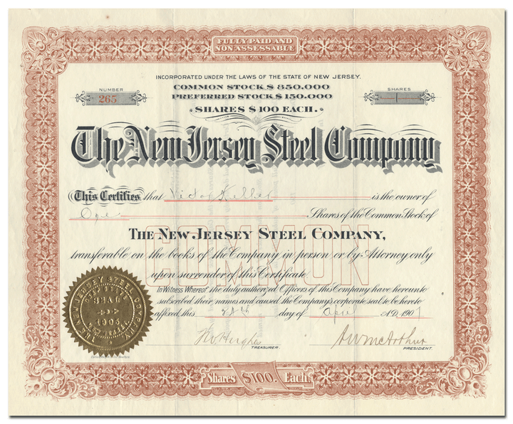 New Jersey Steel Company Stock Certificate