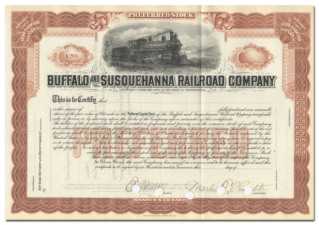 Buffalo and Susquehanna Railroad Company Stock Certificate