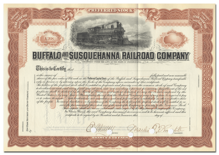 Buffalo and Susquehanna Railroad Company Stock Certificate