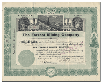 Forrest Mining Company Stock Certificate