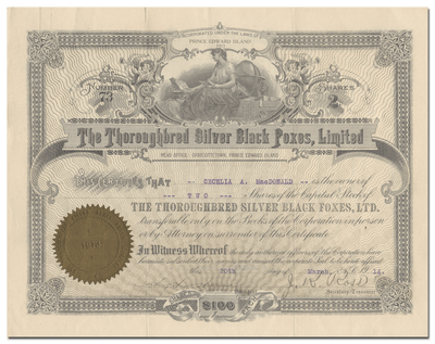 Thoroughbred Silver Black Foxes, Limited Stock Certificate