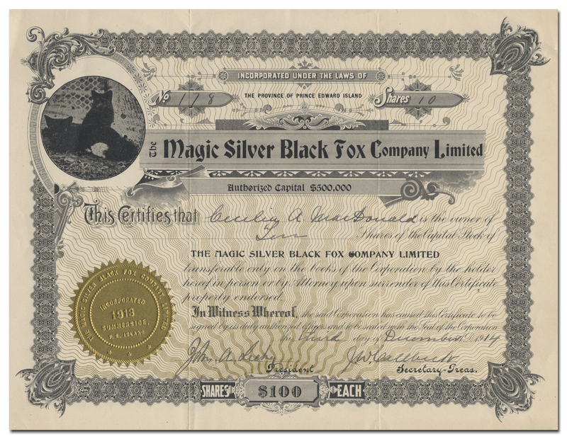 Magic Silver Black Fox Company Limited Stock Certificate