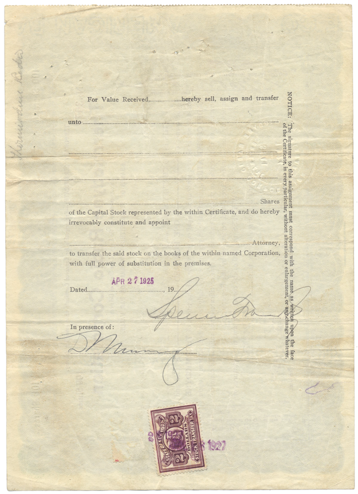 Thermiodyne Radio Corporation Stock Certificate