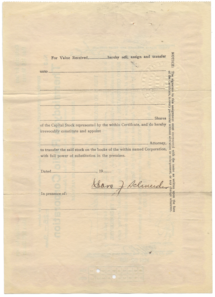 Thermiodyne Radio Corporation Stock Certificate