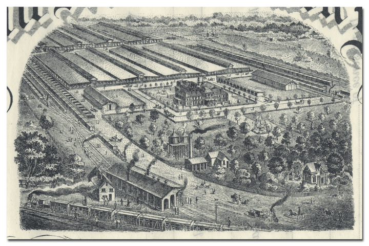 Belt Rail Road and Stock Yards Co. Stock Certificate